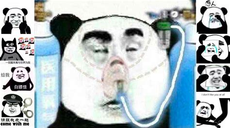 chinese panda meme|*gong sound* Chinese Meme Panda Performance .